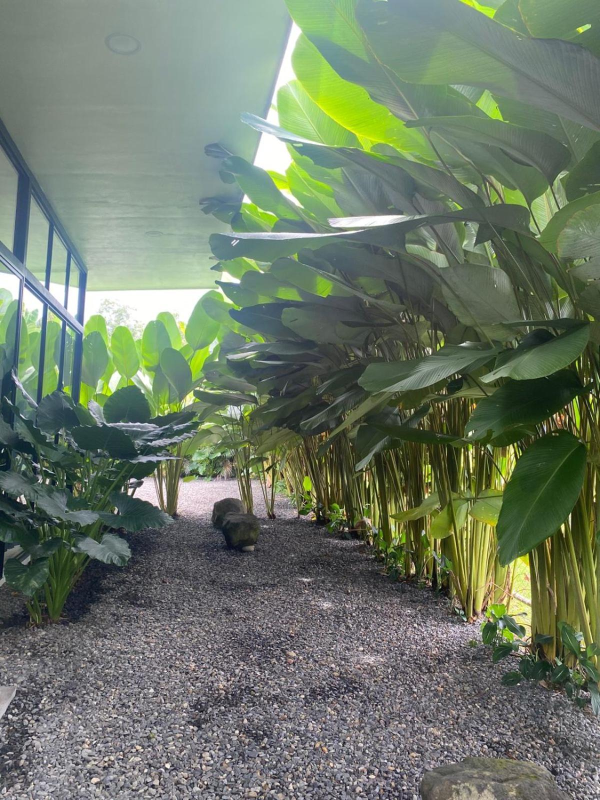 Toucan Home La Fortuna Exterior foto